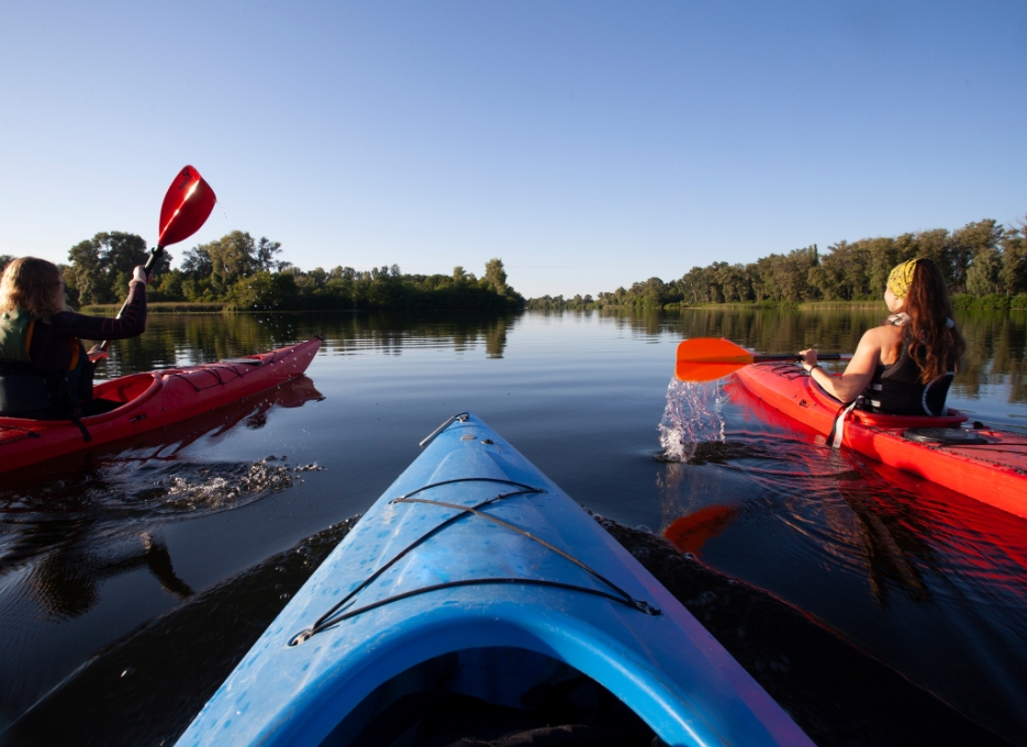 kayak